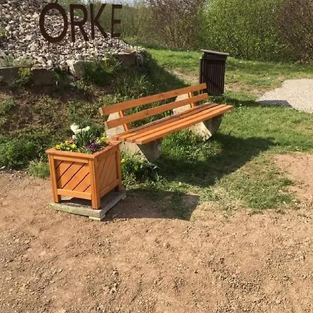 Marja Oberorke