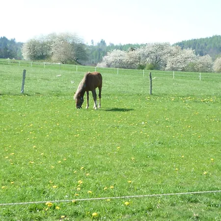 Marja *